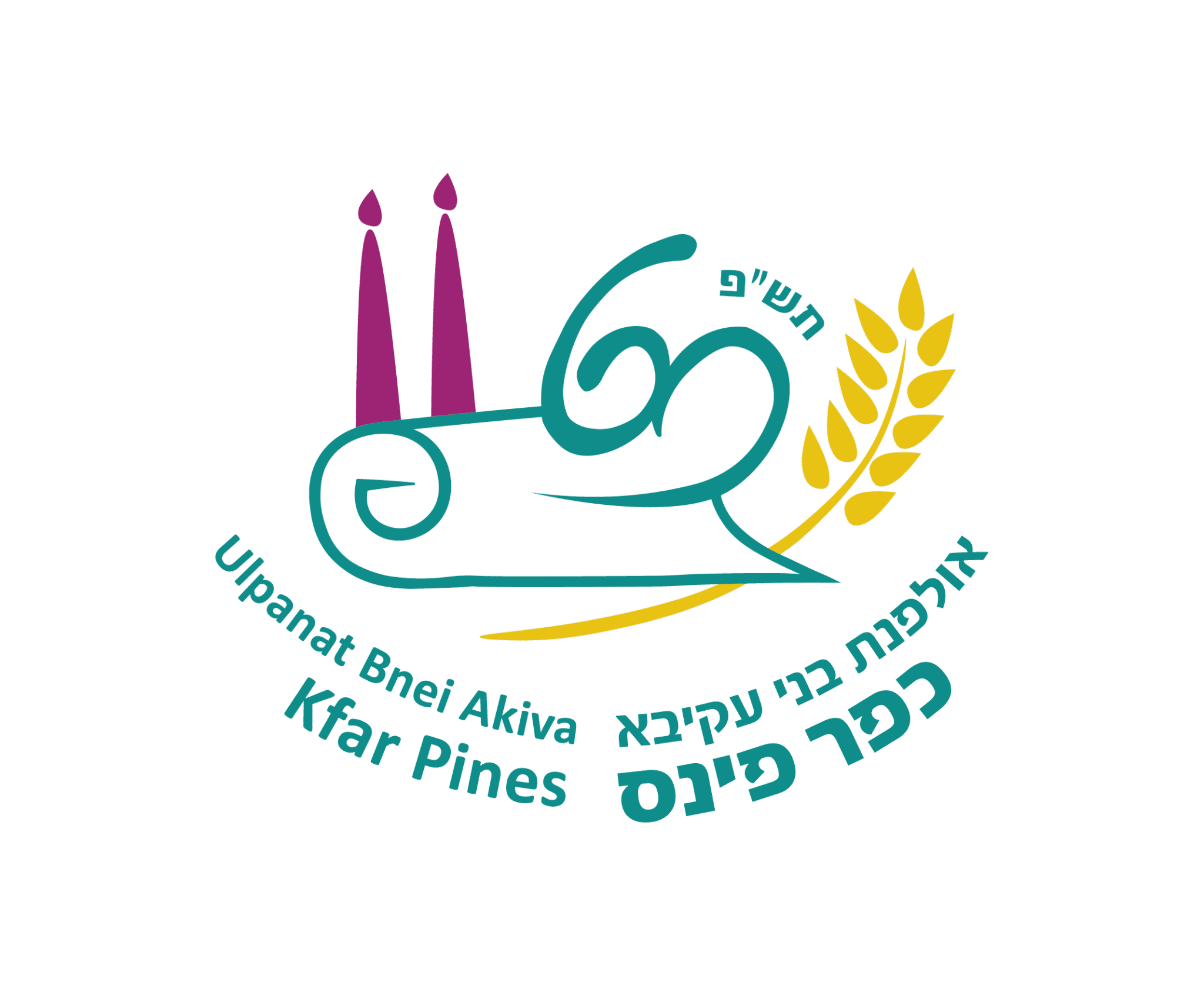 אוטומציה חכמה לניהול תרומות באולפנת כפר פינס