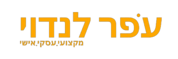 לקוח - עופר לנדוי